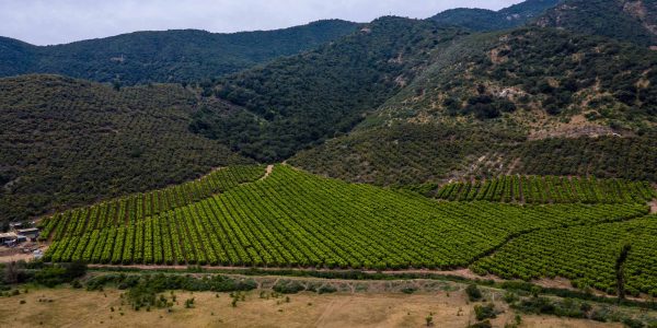 nuestros campos (6)